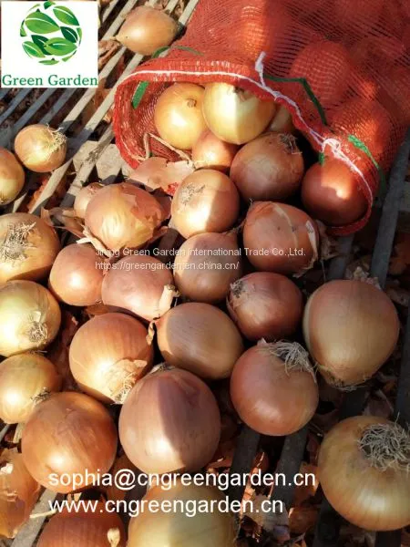 Fresh Yellow Onions photo-3