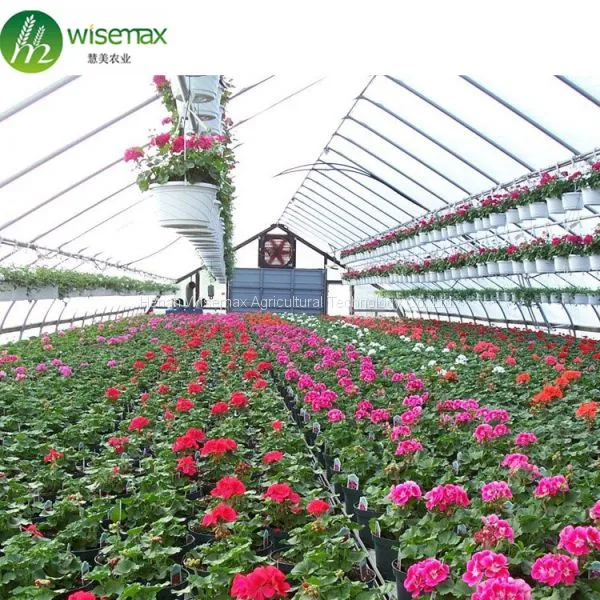 50x8m Vegetable Tomato Single Span PE Plastic Tunnel Greenhouse Sale photo-5
