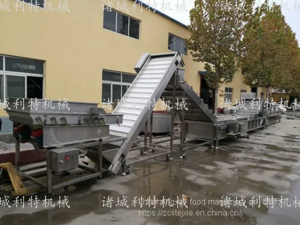Raisin Processing Equipment Raisin Cleaning Line Raisin Cleaning and Drying Line