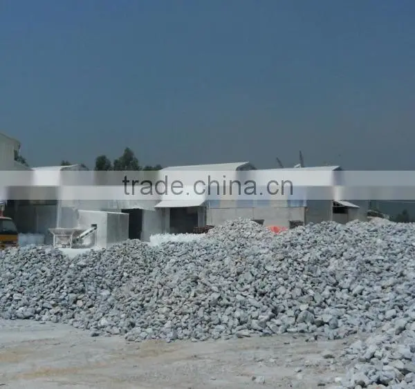 the Good Calcium Carbonated Powder photo-2