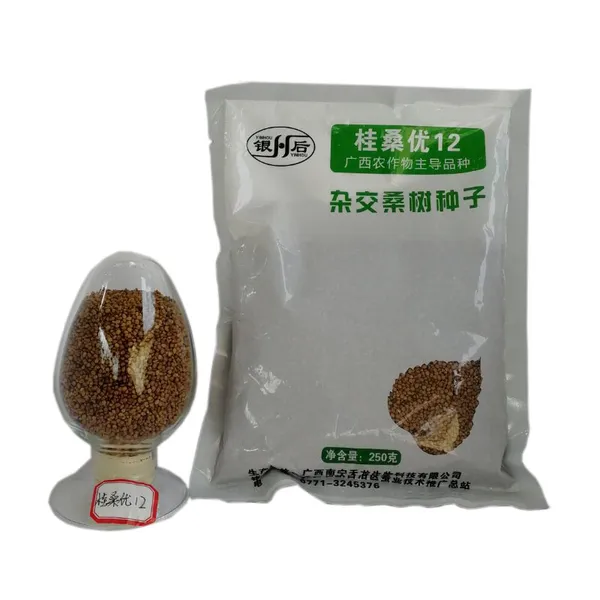 Mulberry Tree Seedling Guangxi Gui Sang You 12 Mulberry Seeds for Sericulture photo-3