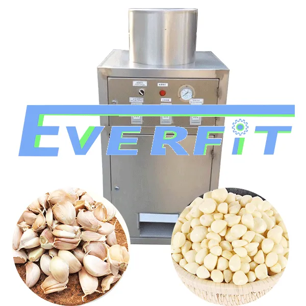Garlic Peeling Machine India| Specifications Garlic Peeler Machine | Garlic Peeler Machine Price in Pakistan photo-3