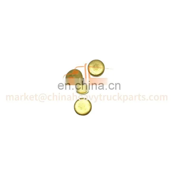 Foton Auman/Aumark/Miler/Land Pioneer Weichai Engine Gearbox Zf/Fast Truck Spare Parts 90003989294 Bowl Shaped Plug photo-4