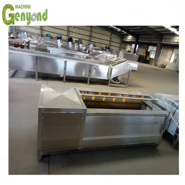 Popular Brush Roller Washing Peeling Machine for Potato/Sweet Potato/Carrot/Taro/Kiwi Fruit photo-5