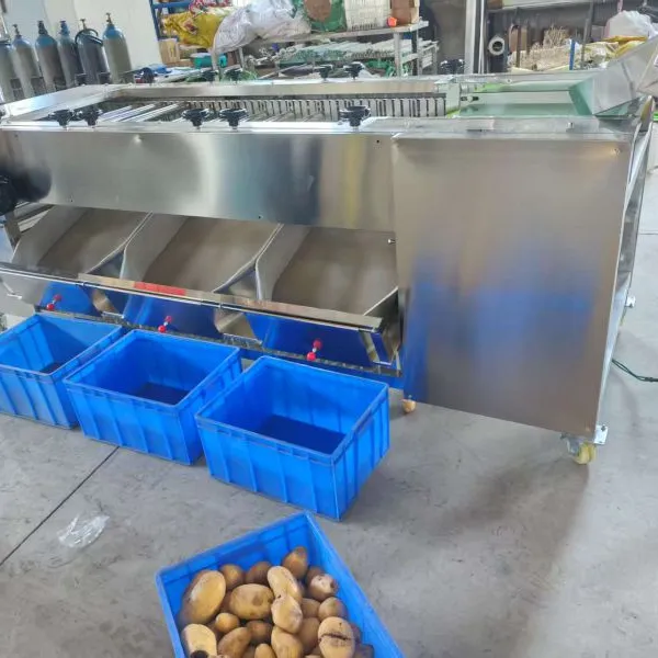Green Lime Fruit Sorting Grading Machine Sorter Grader Machine Line Classifying Machines photo-6