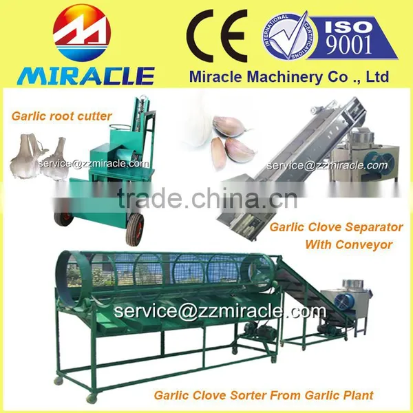 Bulk Shallot Garlic Clove Breaking and Separating Machine From Garlic Process Equipment photo-5