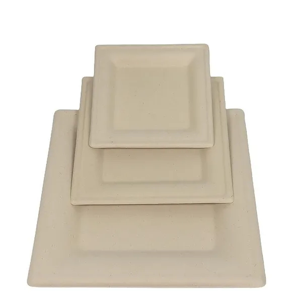 Original Wheat Straw Pulp Biodegradable Square Plate 20cm Partitioned Party Serving Tray photo-3