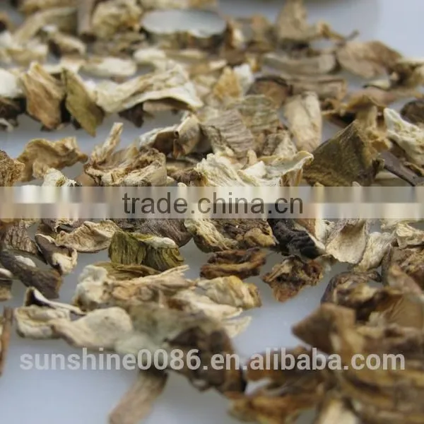 ISO ,HACCP Orgnic Porcini Mushroom photo-3