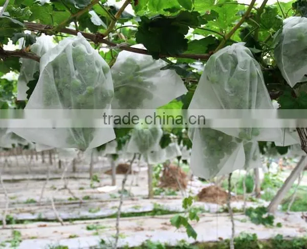 Non-woven Frost Protection Fleece