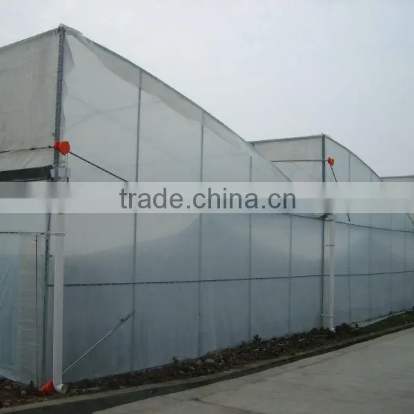 Mini Green House photo-2