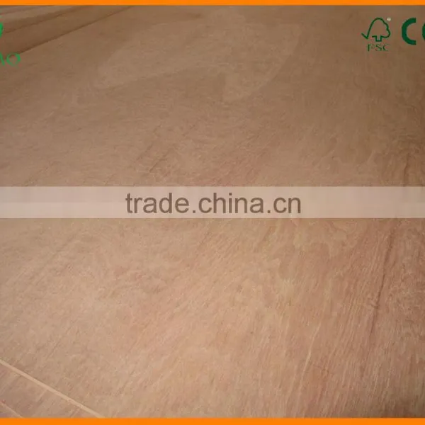 High Quality China Brand 3/5/10/12mm Commercial Plywood photo-6