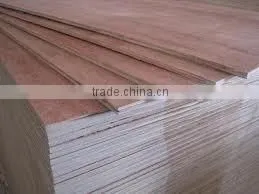 Bintangor Plywood/Keruing Plywood/Sapele Plywood/Agathis Plywood photo-4