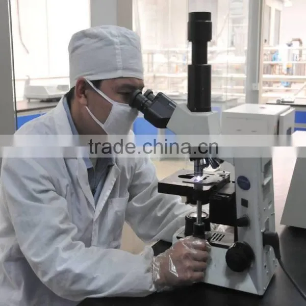 Feed Enzymes Protease photo-4