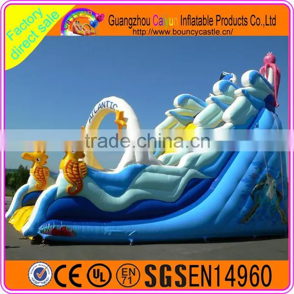 2016 Giant Outdoor Sports for Kids in Summer Inflatable Plastic Dry Slide photo-3