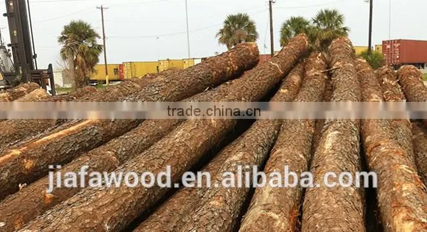 Southern Yellow Pine Logs photo-2