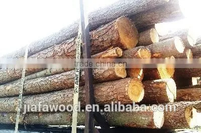 Southern Yellow Pine Logs photo-5