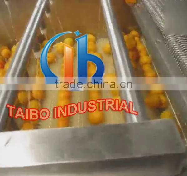 Air Bubble Fruit and Vegetable Washer / Orange Washing Machine photo-6