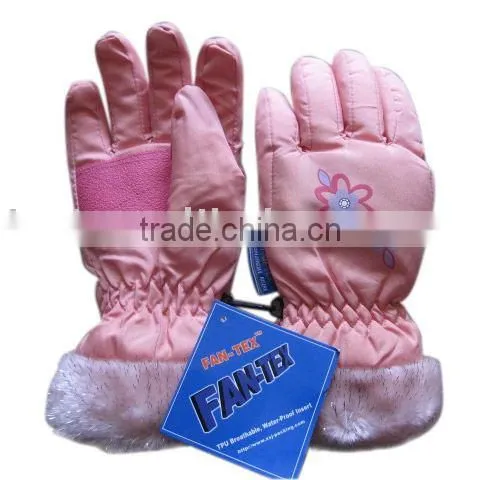 Ski Glove