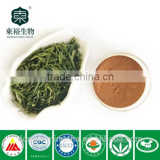 100% Natural Anti-oxidant Green Tea EGCG Products