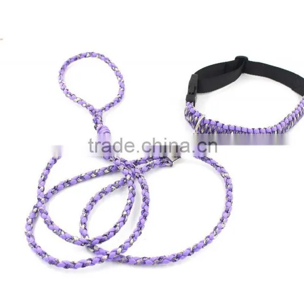 Paracord Dog Leash and Collar