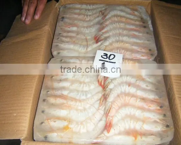 Sea Caught Shrimps photo-5