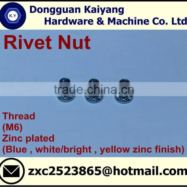 Rivet Nuts (with Head Printed Pattern) (Furniture Fastener); M6, M8 photo-3