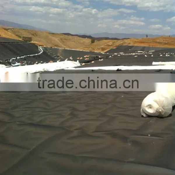 Plastic Pvc Geomembrane With CE Certificate photo-6