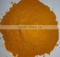 Turmeric photo-3