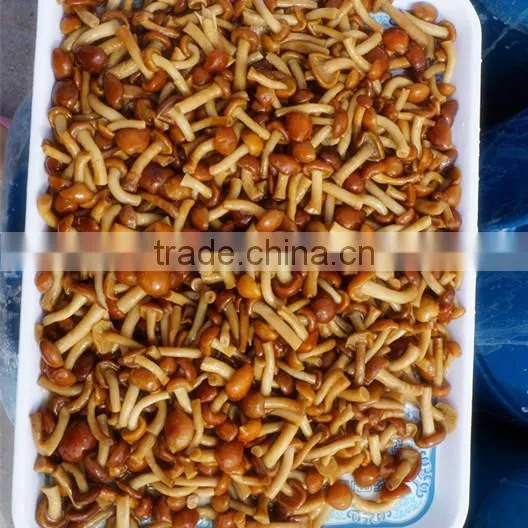 Pholiota Nameko / Pholiota Mutabilis photo-5