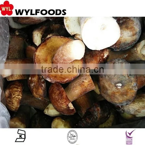 Frozen Boletus Edulis Yunnan for Hot Sale photo-2