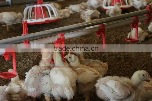 Goldenest Poultry Farming Equipment Broiler Automatic Poultry Drinkers Nipples for Sale
