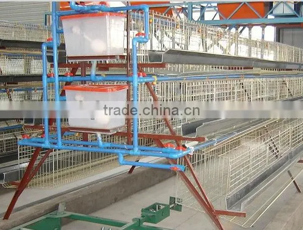 Chicken Egg Layer Cages/chicken Cages