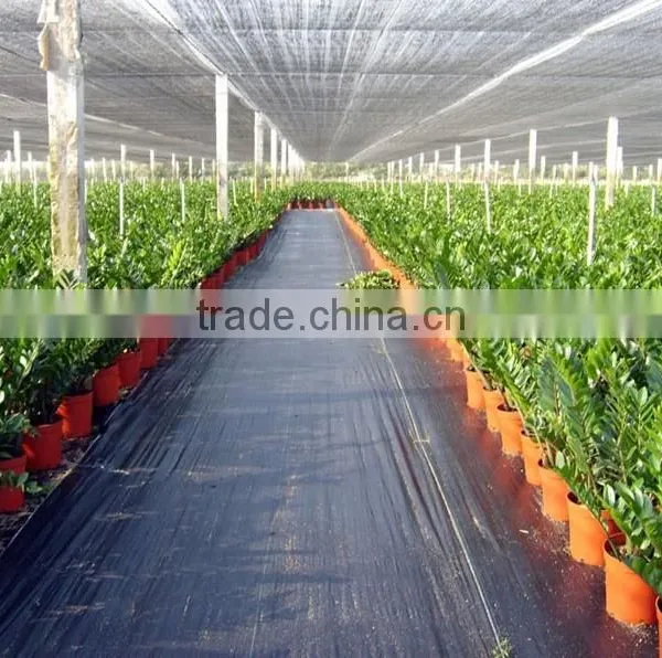 Agriculture Shade Net photo-6
