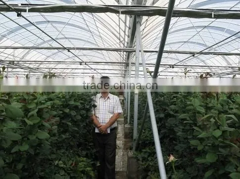 Commercial Greenhouse For Sale photo-2
