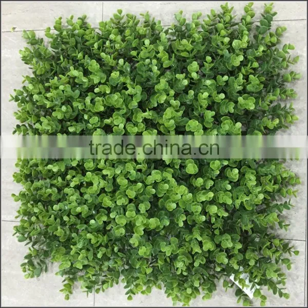 New Plastic Milan Boxwood Panel photo-2