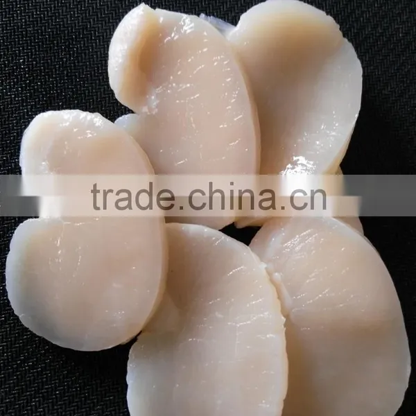 Frozen Scallop High Quality Pen Scallop for Sale photo-2