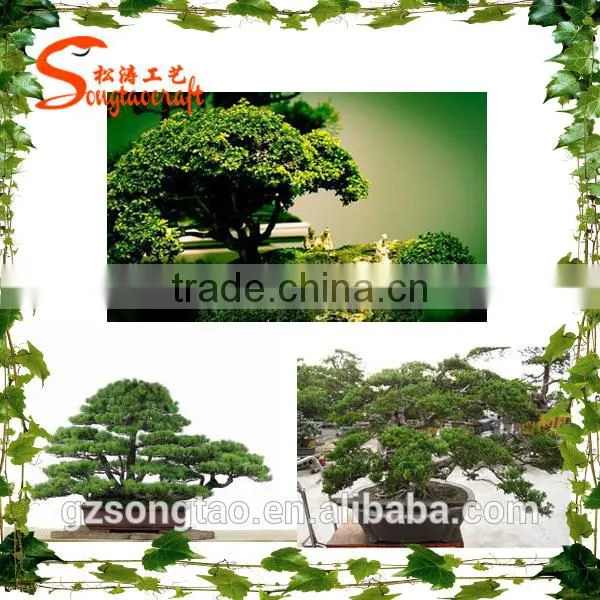Wholesale Indoor Artificial Potted Decoration photo-5