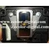Epson DX5.5 Print Head