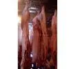 Frozen Pork