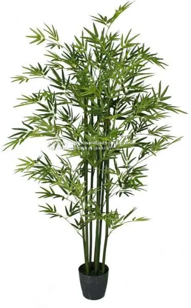 New Product Artificial Bonsai Bamboo Tree With Natural Colour photo-5