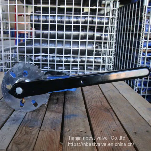 DIN Standard PN10 Lug Butterlfy Valve DN200 With Lever photo-5