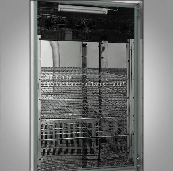 Microbiology Incubator Laboratory Equipment Mold Incubator-WS photo-3