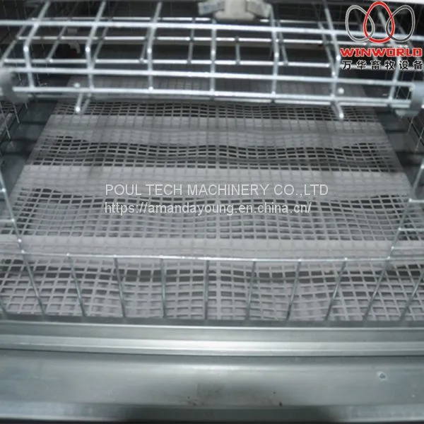 Seychelles Poultry Farming Equipment Battery Broiler Chicken Cage & Meat Chicken Cage & Chicken Coop in Poultry House photo-2