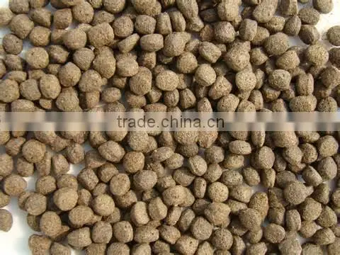 China Supplier New Product Floating Fish Pellet Food Making Machine photo-5
