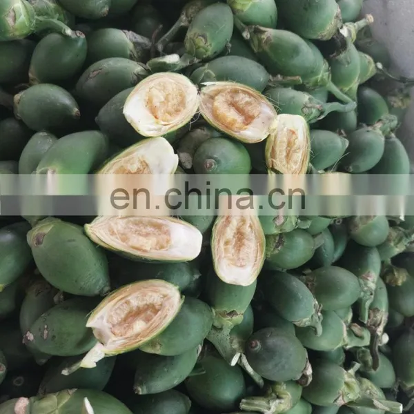 Vietnam High Quality Fresh Areca Nut/Betel Nuts photo-2