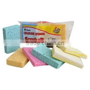 Cellulose Sponge
