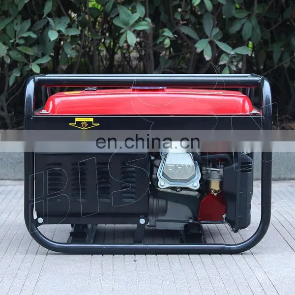 Bison China 110/220V Customized Cheap 3Kw Electric Start Gasoline Generator Set photo-2