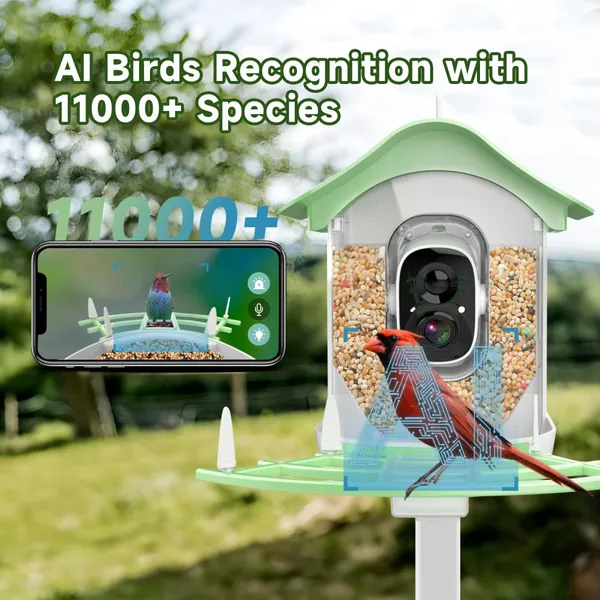 Outdoor AI Smart Bird Feeder Camera 2.0MP IP65 Waterproof IP Bullet Style Night Vision and WiFi Features Recognizes Bird Species photo-4