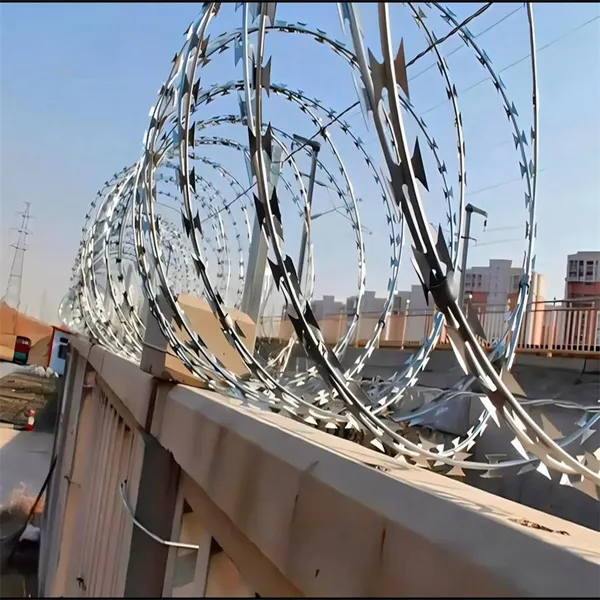 Galvanized Razor Wire With 3mm Blade Thickness for Perimeter Security photo-3