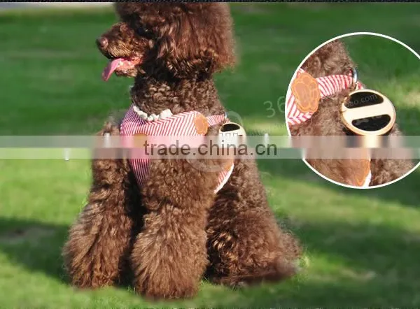 Hot Selling Product 2016 Smart Watch Phone Accessories Mini Gps Tracker for Children photo-4